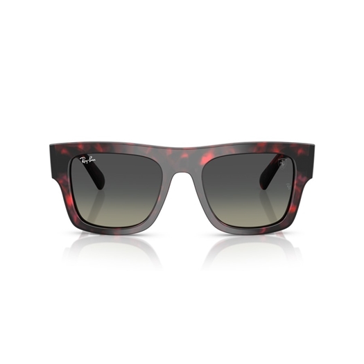 RAY-BAN RB2217M - F70511