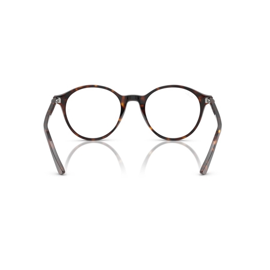 RAY-BAN RB2230 - 902/GH BERNARD