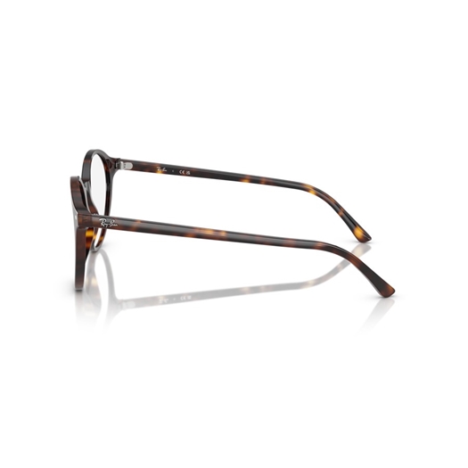 RAY-BAN RB2230 - 902/GH BERNARD