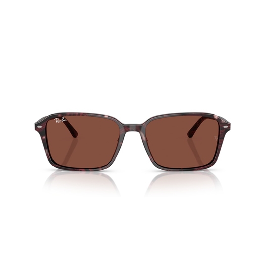 RAY-BAN RB2231 - 1416C5 RAIMOND