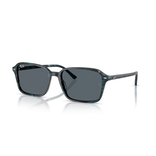 RAY-BAN RB2231 - 1417R5 RAIMOND