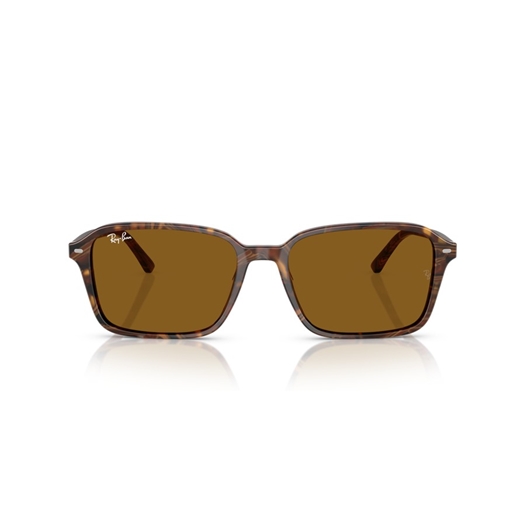 RAY-BAN RB2231 - 141833 RAIMOND
