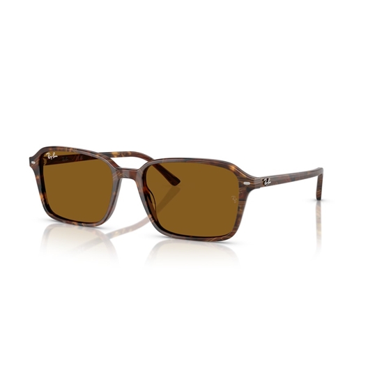 RAY-BAN RB2231 - 141833 RAIMOND