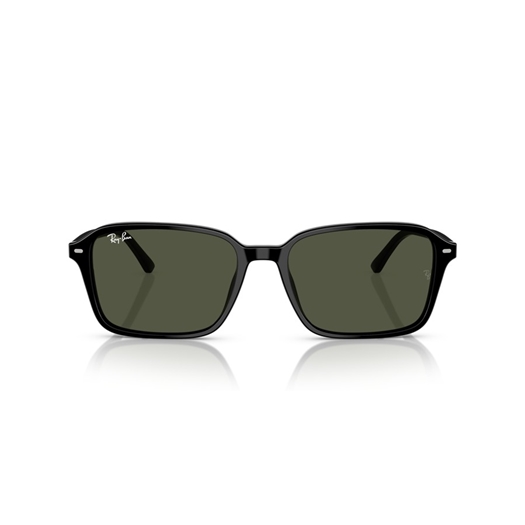 RAY-BAN RB2231 - 901/31 RAIMOND