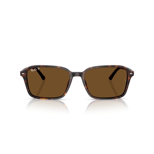 RAY-BAN RB2231 - 902/57 RAIMOND