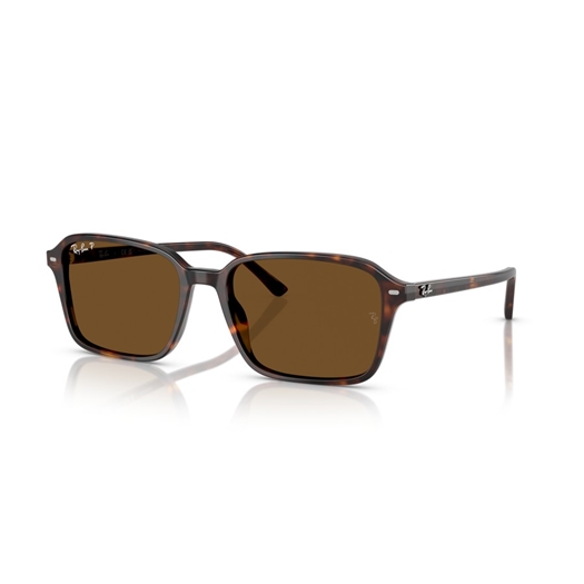 RAY-BAN RB2231 - 902/57 RAIMOND