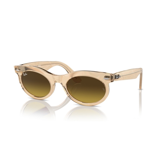 RAY-BAN RB2242 - 138685 WAYFARER OVAL