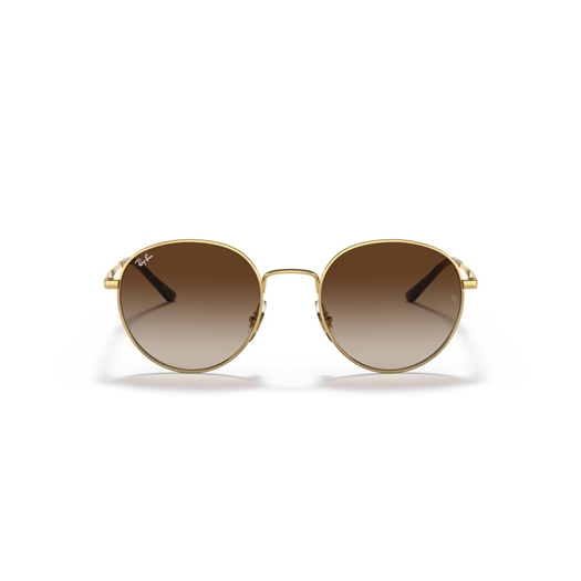 RAY-BAN RB3681 - 001/13