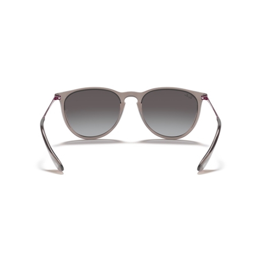 RAY-BAN RB4171 - 65138G ERIKA