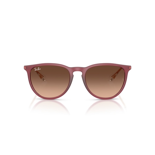 RAY-BAN RB4171 - 6815A5 ERIKA