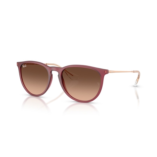 RAY-BAN RB4171 - 6815A5 ERIKA
