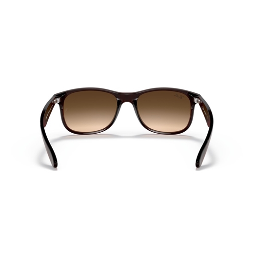 RAY-BAN RB4202 - 607313 ANDY