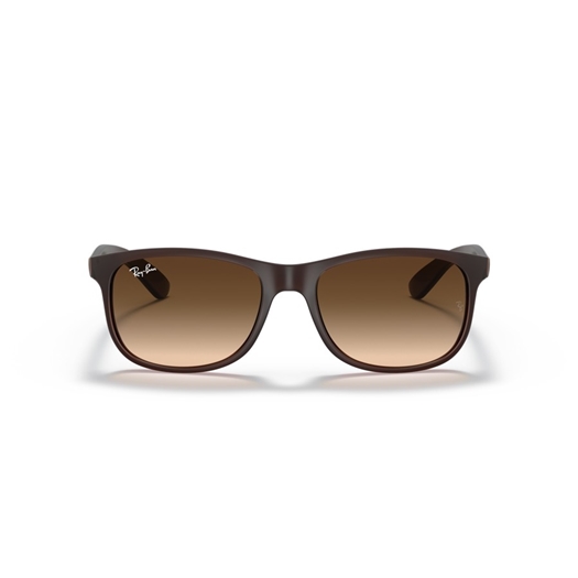 RAY-BAN RB4202 - 607313 ANDY