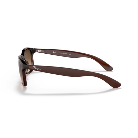 RAY-BAN RB4202 - 607313 ANDY
