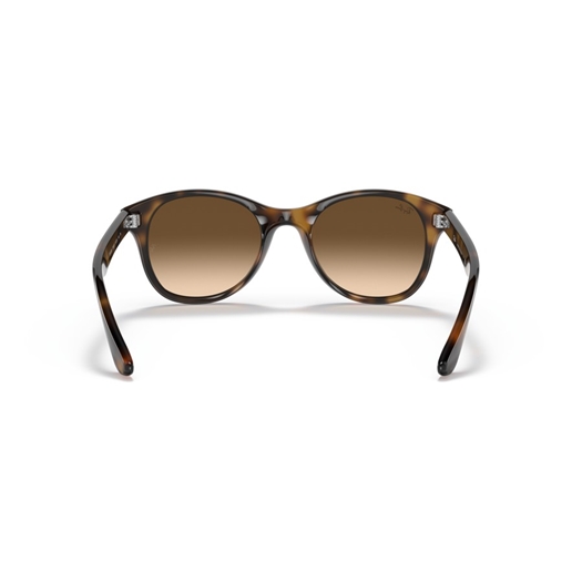 RAY-BAN RB4203 - 710/13