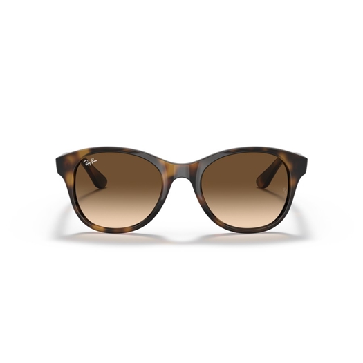 RAY-BAN RB4203 - 710/13