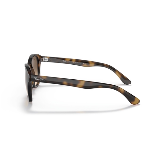 RAY-BAN RB4203 - 710/13