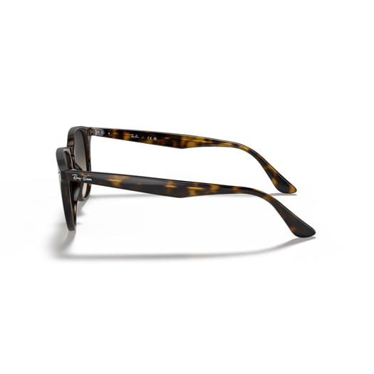 RAY-BAN RB4259 - 710/11