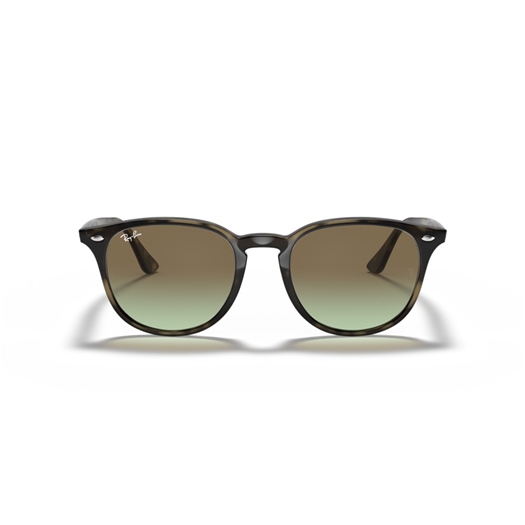 RAY-BAN RB4259 - 731/E8