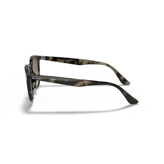 RAY-BAN RB4259 - 731/E8