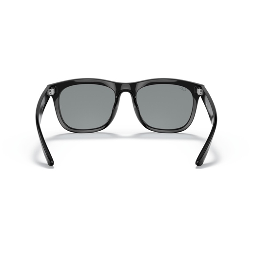 RAY-BAN RB4260D - 601/1