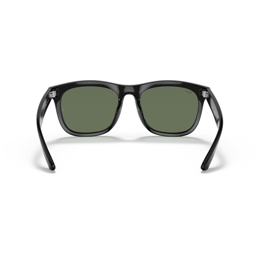 RAY-BAN RB4260D - 601/71
