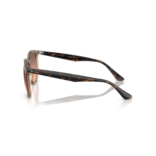 RAY-BAN RB4306 - 678846
