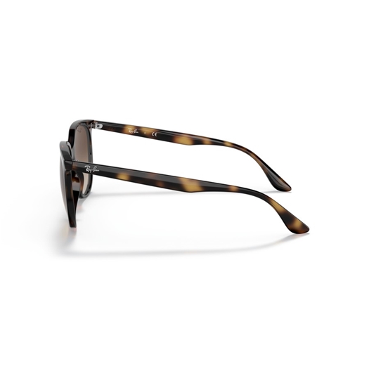 RAY-BAN RB4378 - 710/13