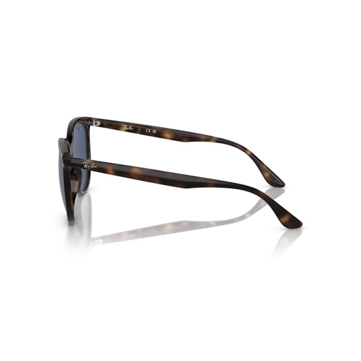 RAY-BAN RB4378 - 710/80