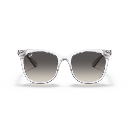 RAY-BAN RB4379D - 659811