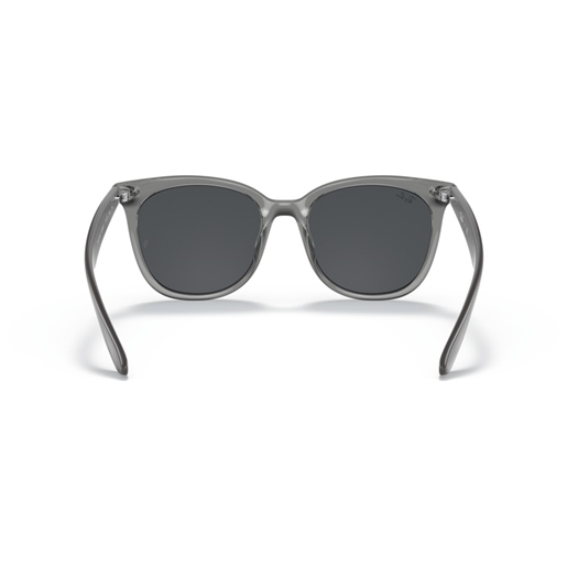 RAY-BAN RB4379D - 659987