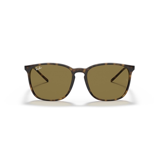 RAY-BAN RB4387 - 710/73