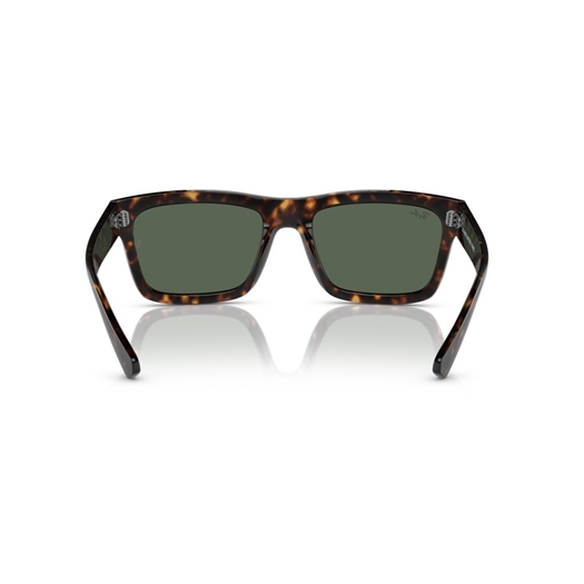 RAY-BAN RB4396 - 135971 WARREN