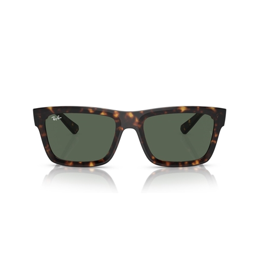 RAY-BAN RB4396 - 135971 WARREN