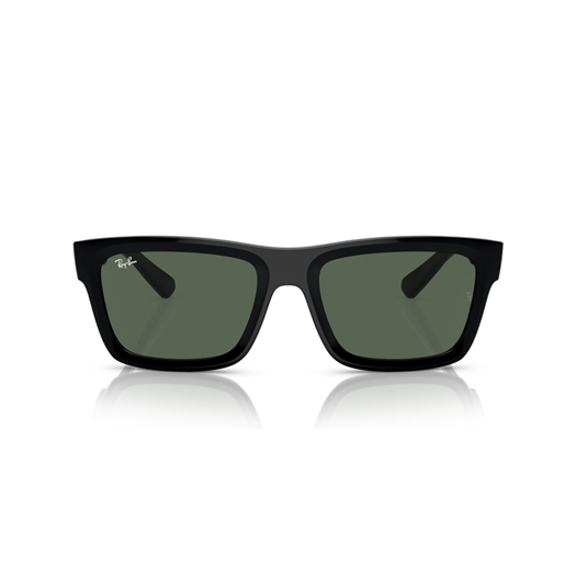 RAY-BAN RB4396 - 667771 WARREN