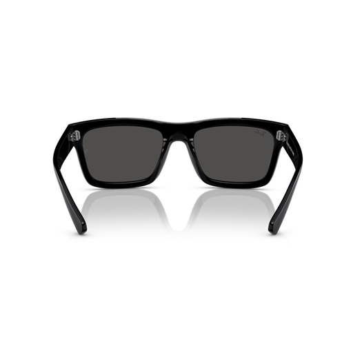 RAY-BAN RB4396 - 667787 WARREN