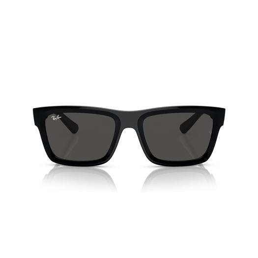 RAY-BAN RB4396 - 667787 WARREN