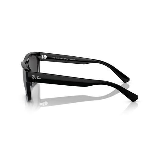 RAY-BAN RB4396 - 667787 WARREN