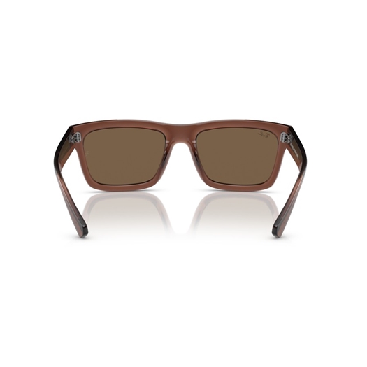 RAY-BAN RB4396 - 667873 WARREN