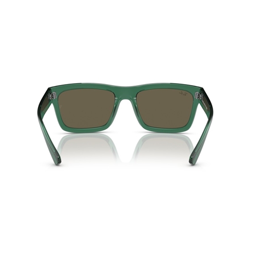 RAY-BAN RB4396 - 6681/3 WARREN