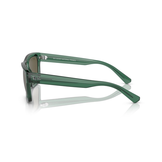 RAY-BAN RB4396 - 6681/3 WARREN