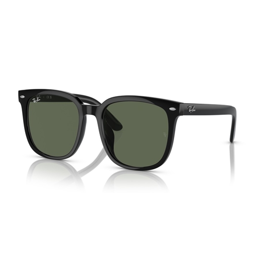 RAY-BAN RB4401D - 601/71