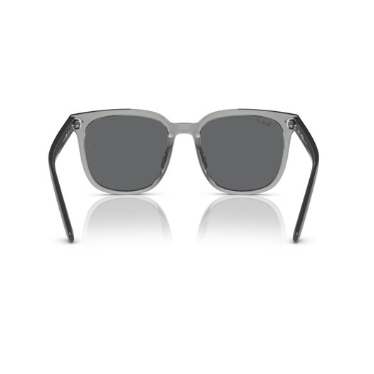 RAY-BAN RB4401D - 659981
