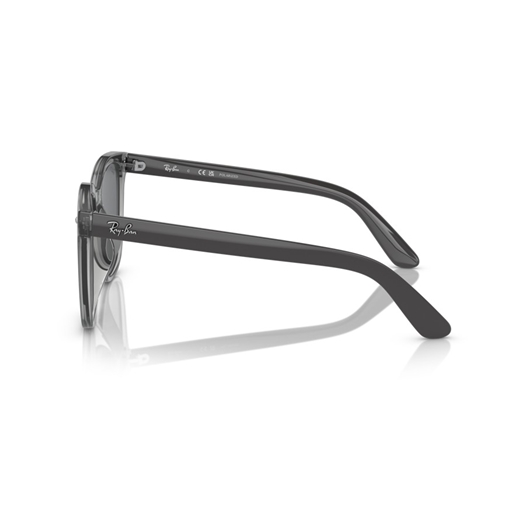 RAY-BAN RB4401D - 659981