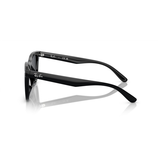 RAY-BAN RB4420 - 601/87