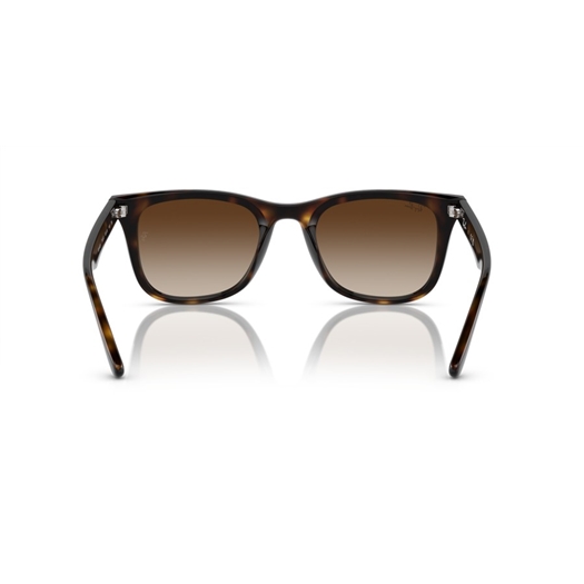 RAY-BAN RB4420 - 710/13