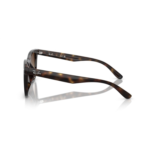RAY-BAN RB4420 - 710/13