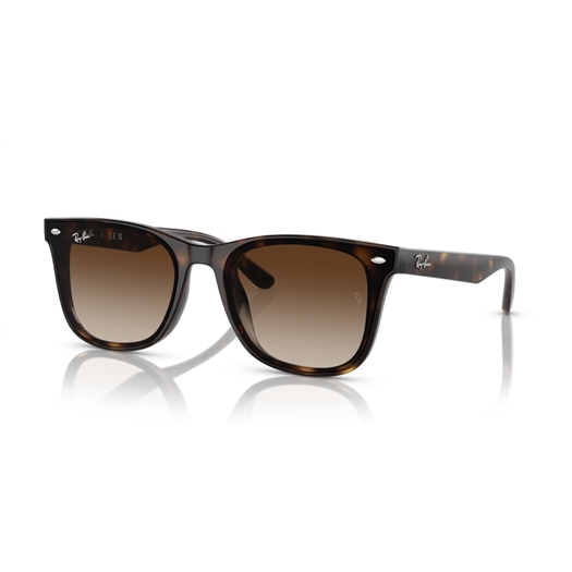 RAY-BAN RB4420 - 710/13