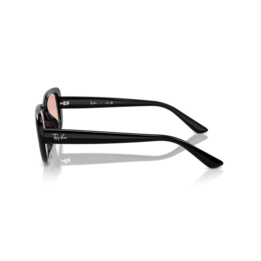 RAY-BAN RB4421D - 667784