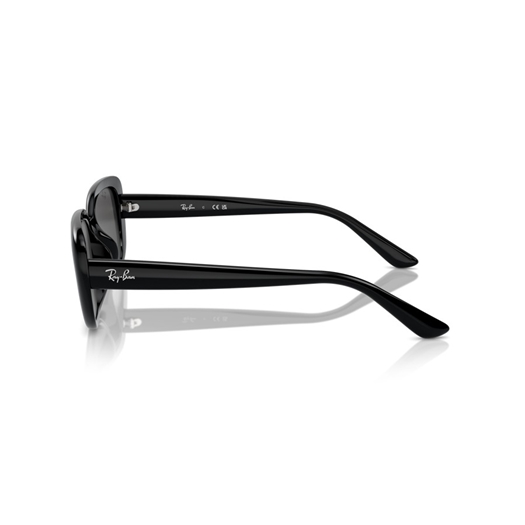 RAY-BAN RB4421D - 667787